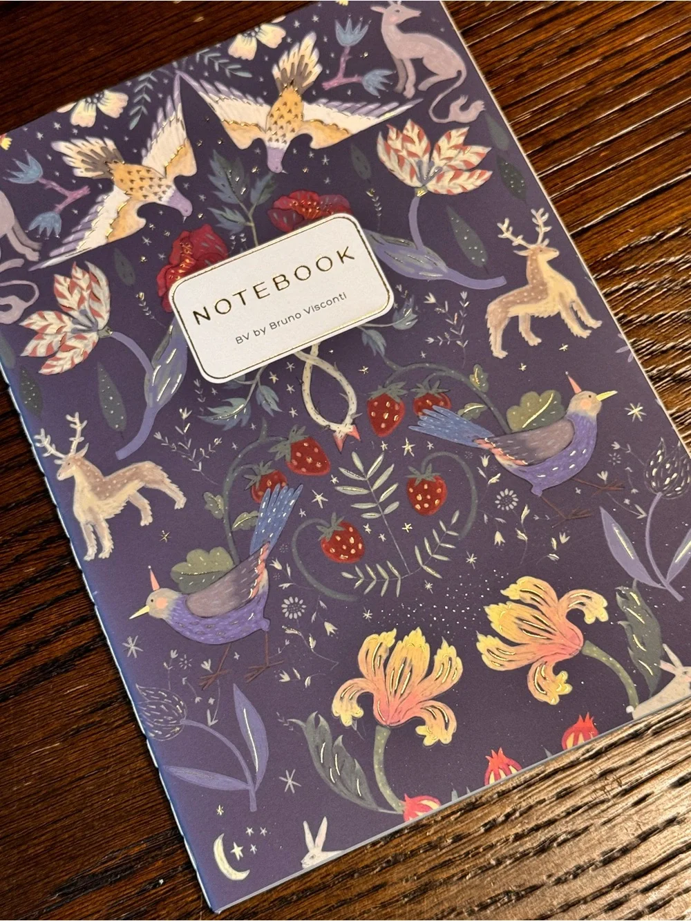 Bruno Visconti Soft Touch Fairytale Notebook Journal A5 NEW